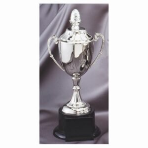 GOLF NICKEL PLATED TROPHY CUPS: The Perfect Way to Celebrate Your Victory