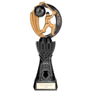 Renegade Heavyweight Cricket Award 270mm
