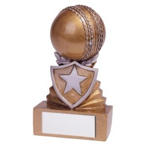 Shield Cricket Bowler Mini Award 95mm