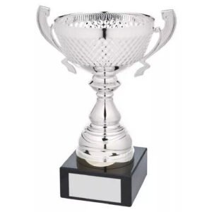 Silver Multi-Sports Trophy Cup 20cm (8'')