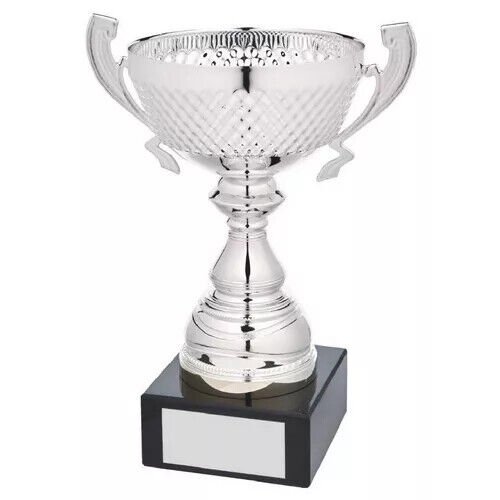 Silver Multi-Sports Trophy Cup 20cm (8'')