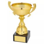 Trophy Cups Award For Champions- All Sports Trophy GOLD 20cm (8'')