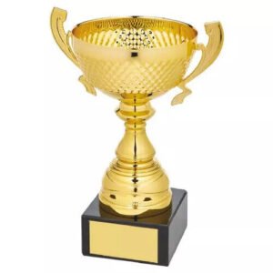 Trophy Cups Award For Champions-  All Sports Trophy GOLD 20cm (8'')
