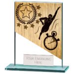 Mustang Swimming Jade Glass Award,Trophy,Trophies