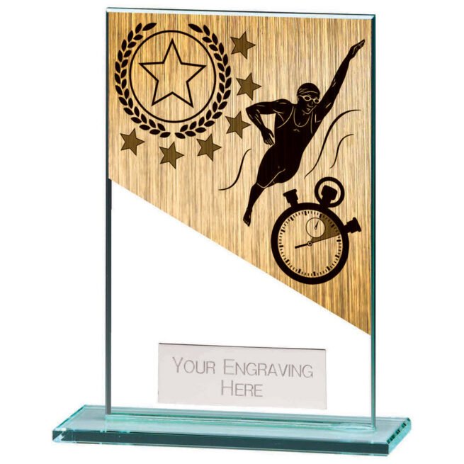 Mustang Swimming Jade Glass Award,Trophy,Trophies