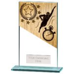 Mustang Swimming Jade Glass Award,Trophy,Trophies