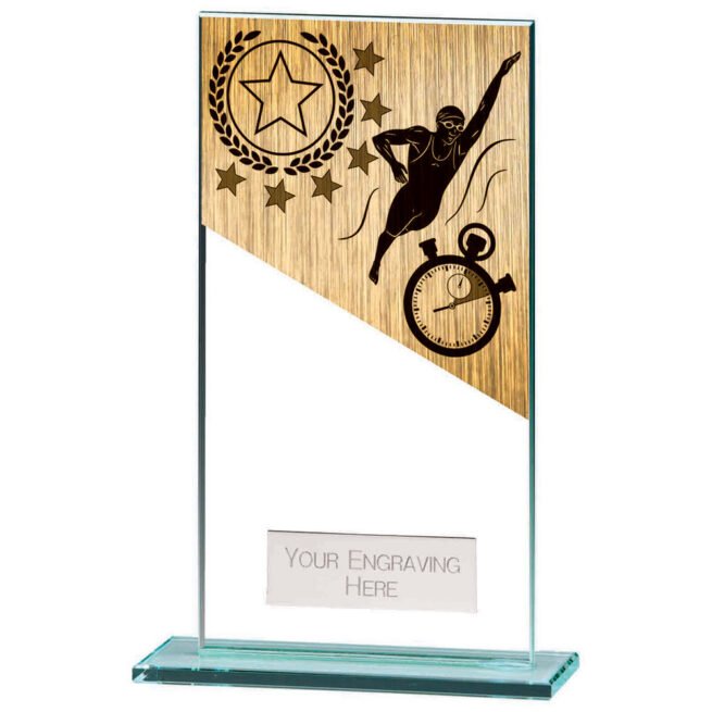Mustang Swimming Jade Glass Award,Trophy,Trophies