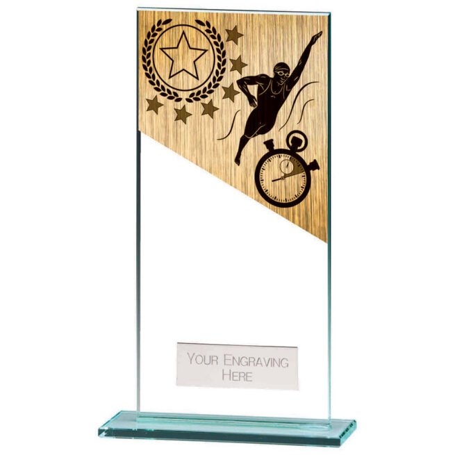 Mustang Swimming Jade Glass Award,Trophy,Trophies