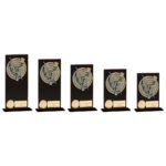 Euphoria Hero Archery Glass Award,Trophy,Trophies