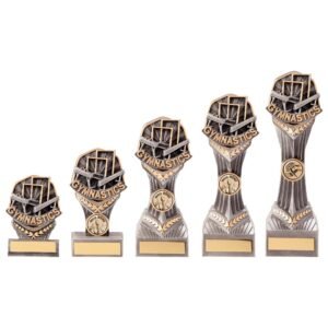 Falcon Gymnastics Award