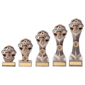 Falcon Martial Arts GI Award,Trophy,Trophies