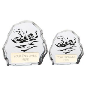 Mystique Swimming Glass Award,Trophy,Trophies