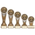 Ikon Tower Martial Arts Award, Trophy, Trophies