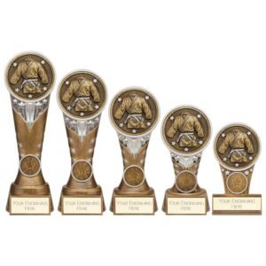 Ikon Tower Martial Arts Award, Trophy, Trophies