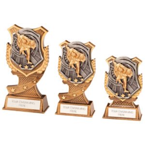 Titan Judo Award,Trophy,Trophies