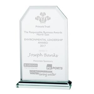 Executive Jade Glass Award,Trophy, Trophies 145mm