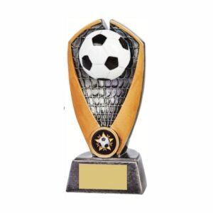 Sign Print Lab Personalised Engraved Football Trophy Antique Gold Great Player Team Award 180MM